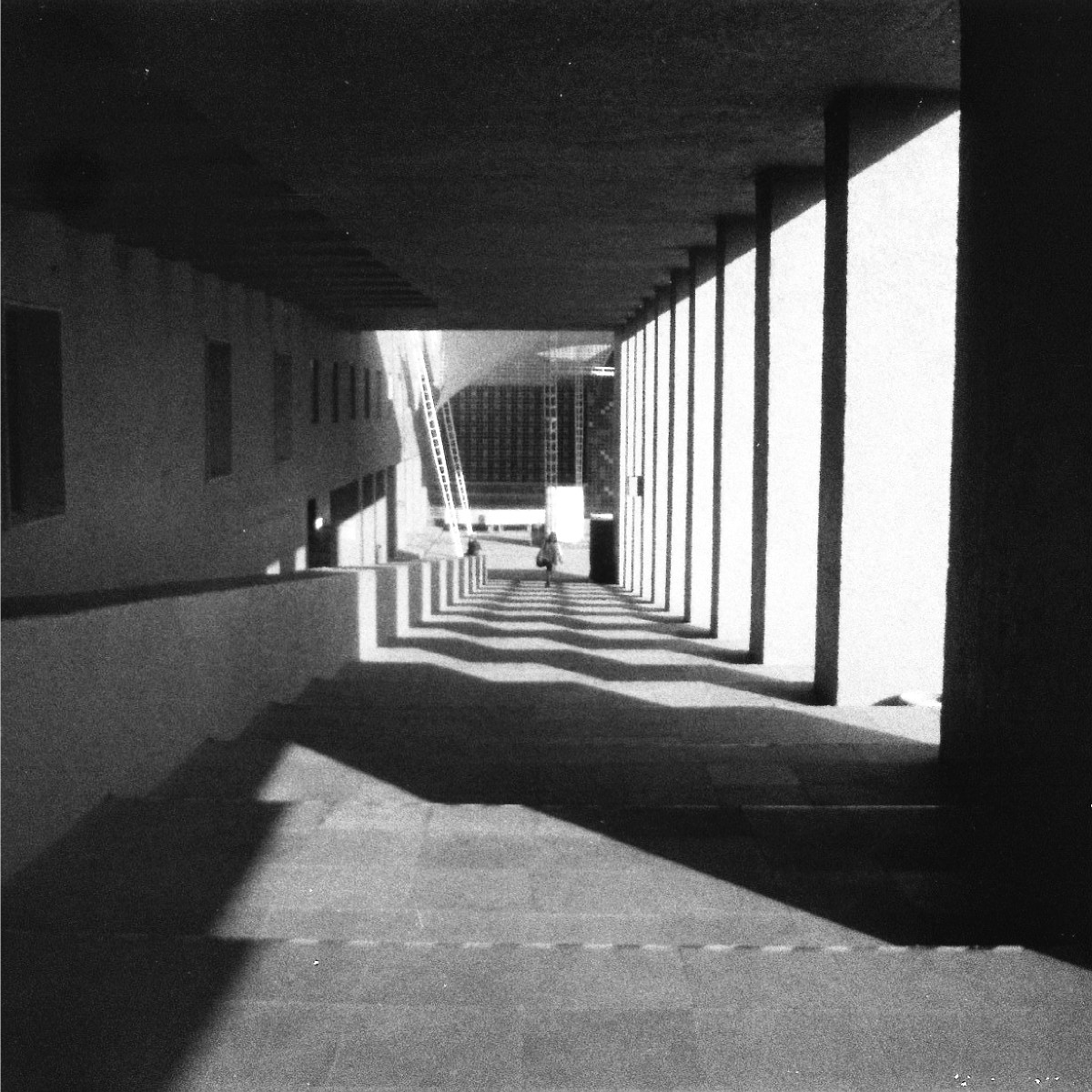 ext – pop |&nbsp;Language