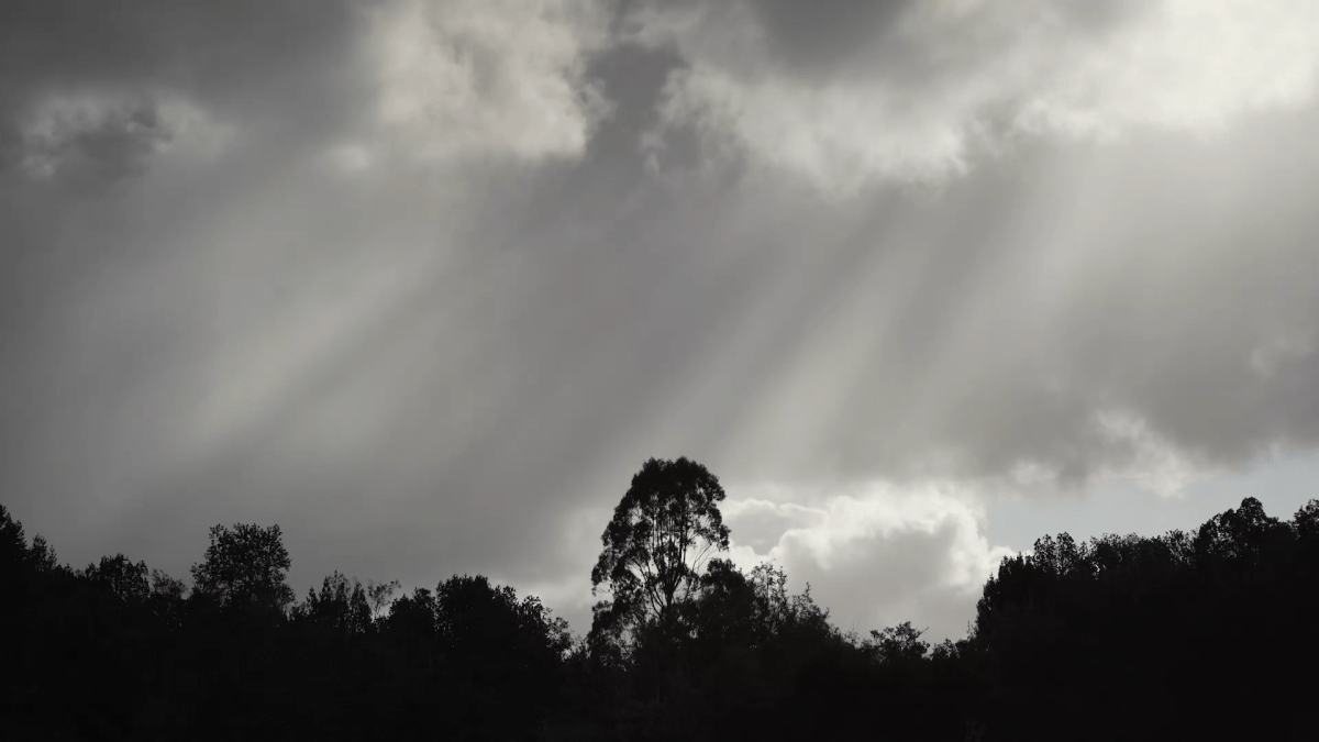 A character in search of the sorcerer – Sound Design for&nbsp;Film